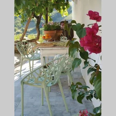 El Balcon De Tama Holiday home